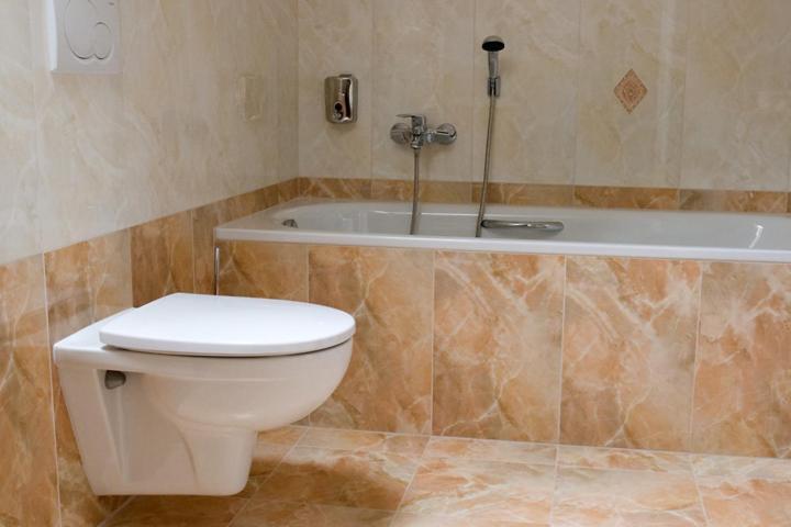 Panzió Penzion Zlatý Vůl