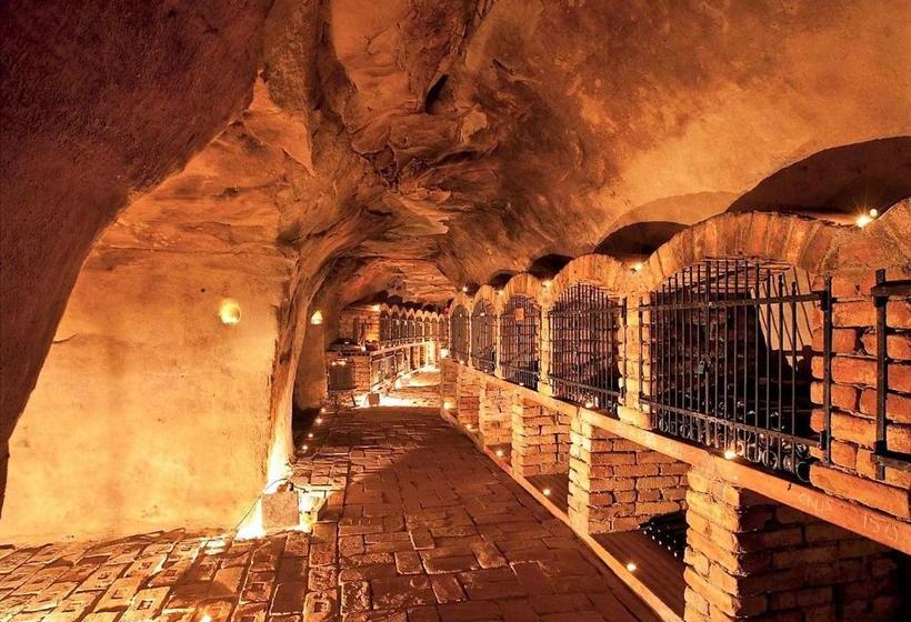 פנסיון Váš Sklep   Vinný Sklep A Penzion