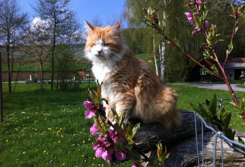 مبيت وإفطار Frühstückspension Krump