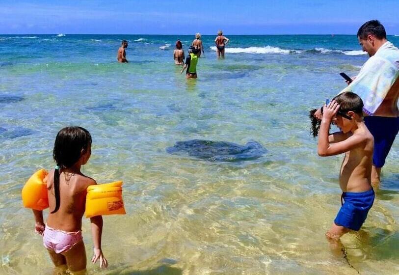 Pensionat Malika's Yellow House