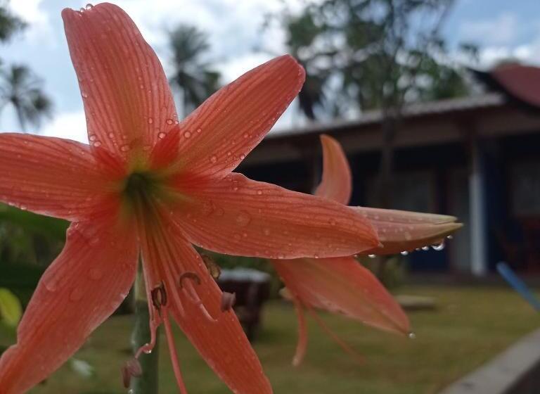 Pension Pousada E Restaurante Do Francisco