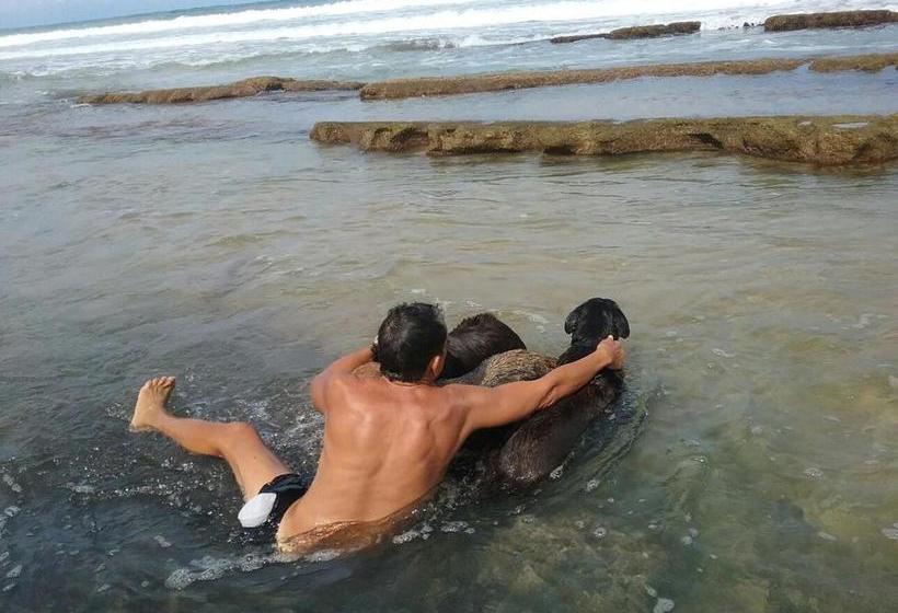 پانسیون Villa Marsana