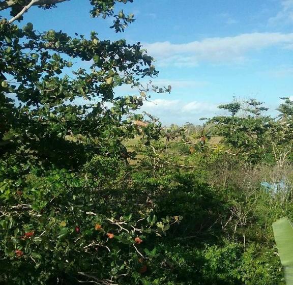 پانسیون Villa Marsana