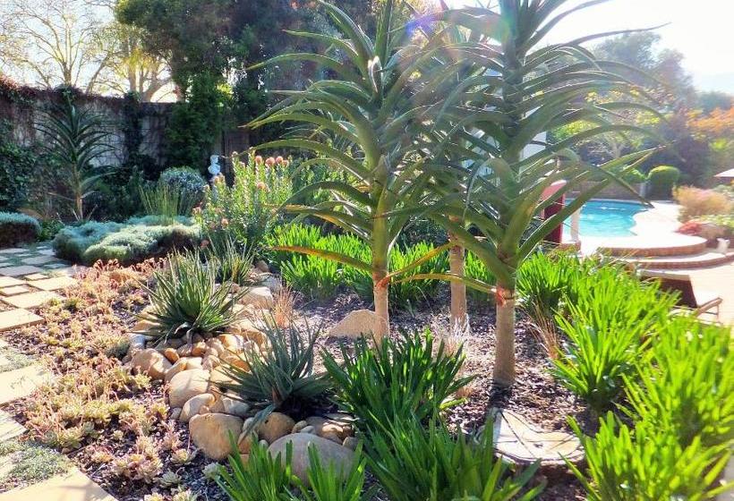 پانسیون Cape Valley Manor Guest House