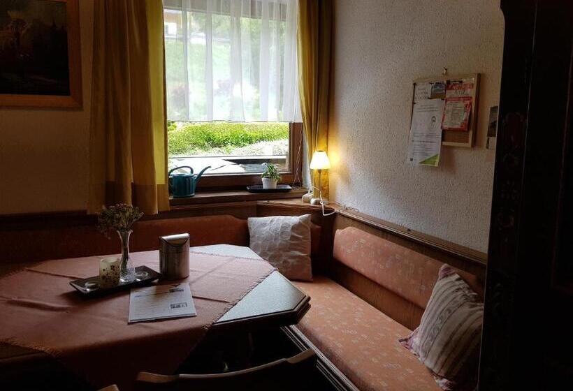 بنسيون Hiasl Stubn