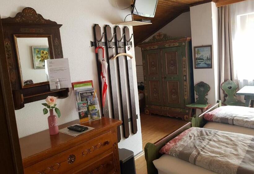 بنسيون Hiasl Stubn