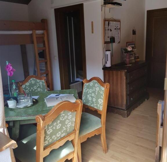 بنسيون Hiasl Stubn