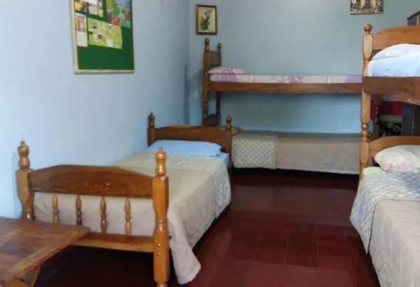 پانسیون Hummingbird Hostel