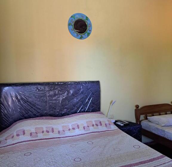 پانسیون Hummingbird Hostel