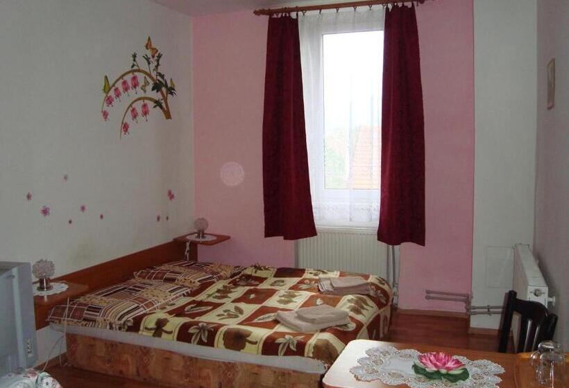 Пансион Penzion Adria