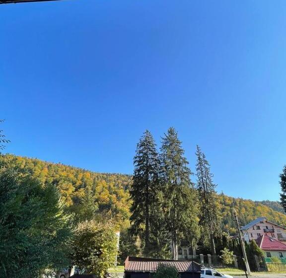 بنسيون Vila Foisor