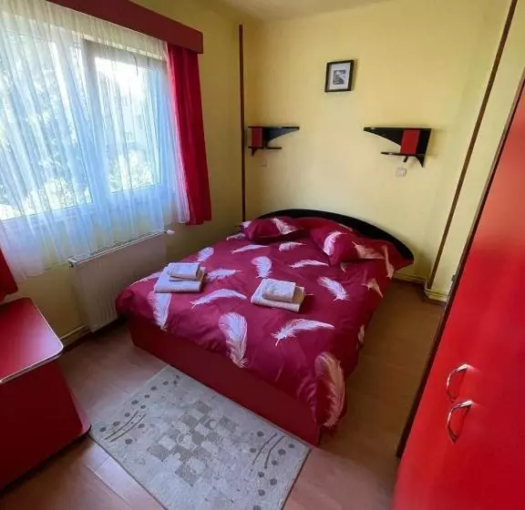 Majatalo Vila Foisor