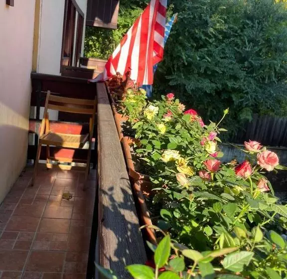 Majatalo Vila Foisor