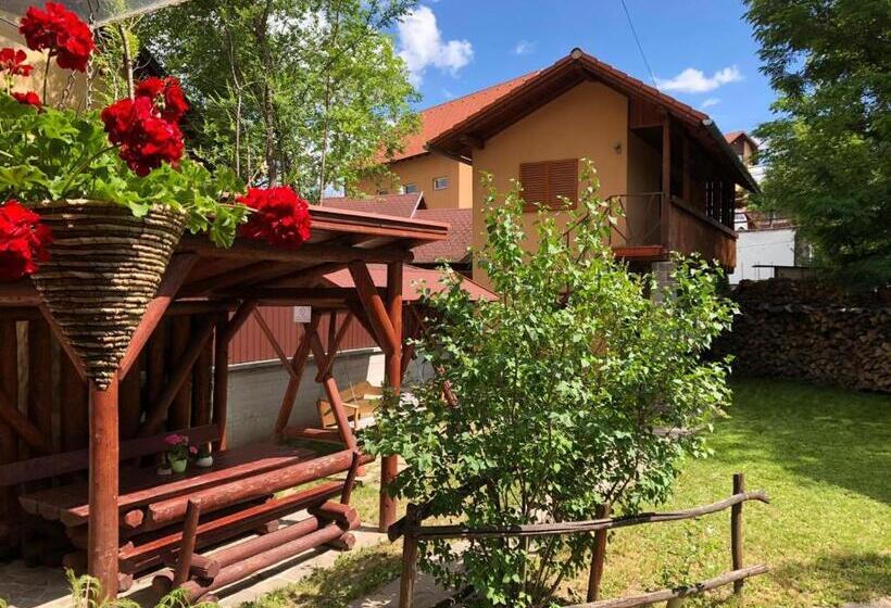 Raza Soarelui Pension