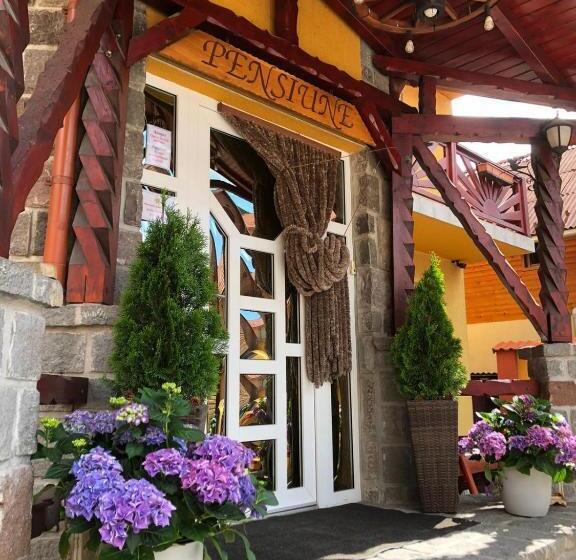 Raza Soarelui Pension