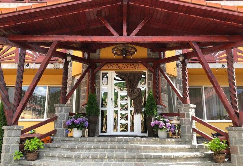 Raza Soarelui Pension