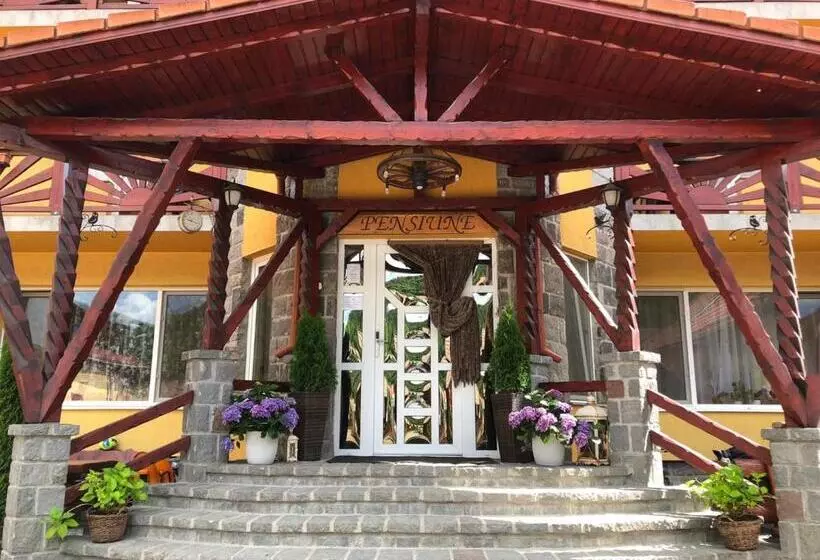 Raza Soarelui Pension