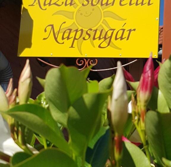 Raza Soarelui Pension