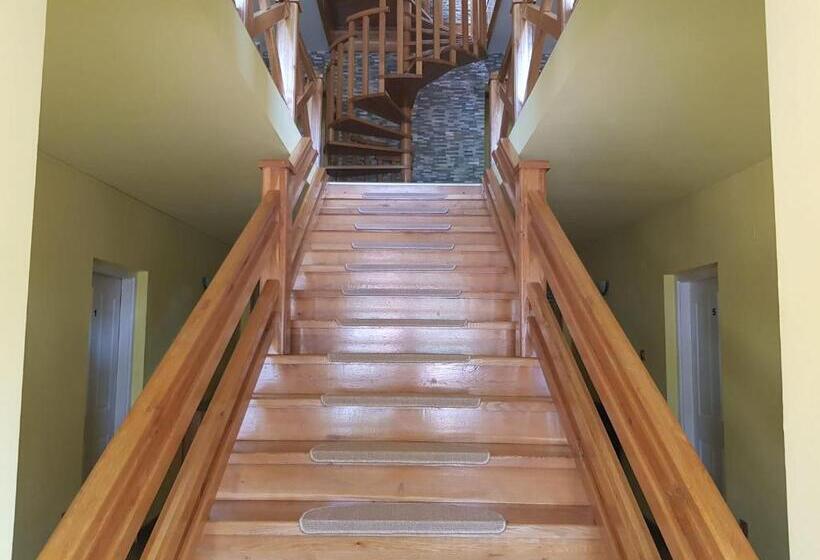 Raza Soarelui Pension