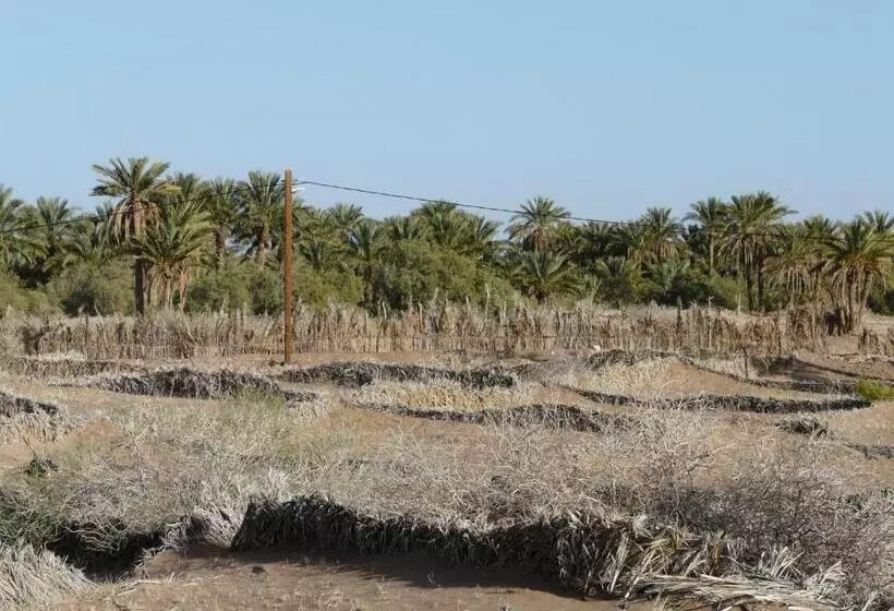 تختخواب و صبحانه Dar Nakhla   Zagora Guest House