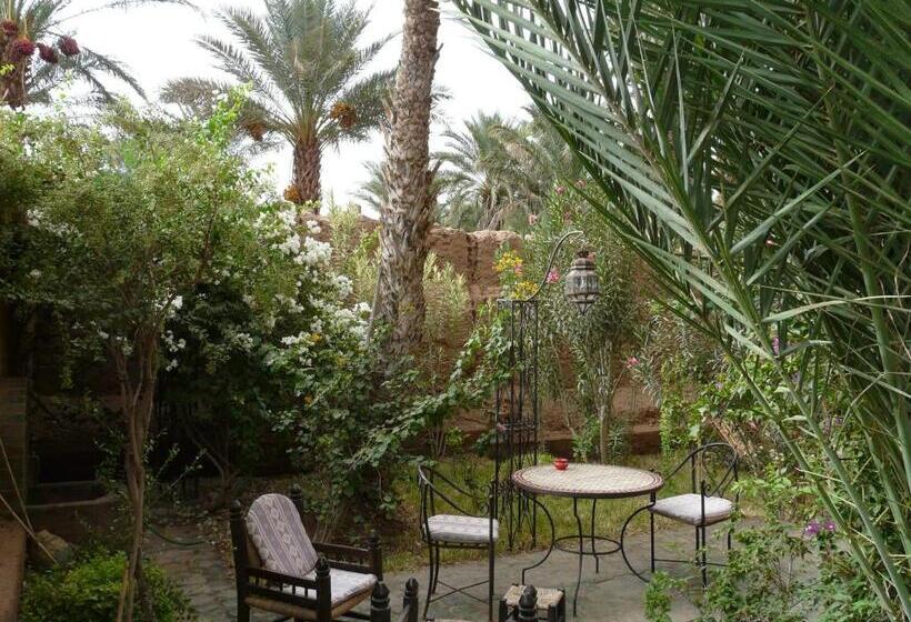 مبيت وإفطار Dar Nakhla   Zagora Guest House