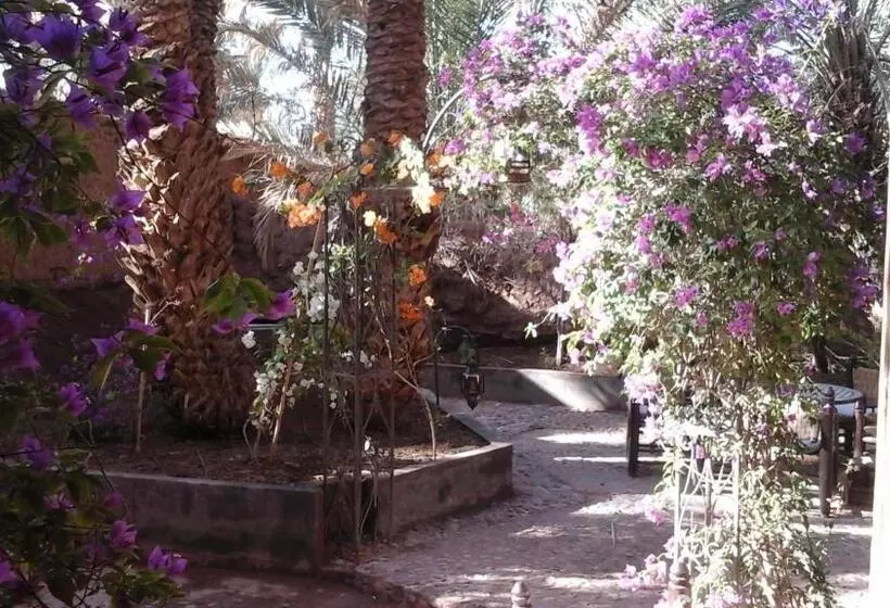 تختخواب و صبحانه Dar Nakhla   Zagora Guest House