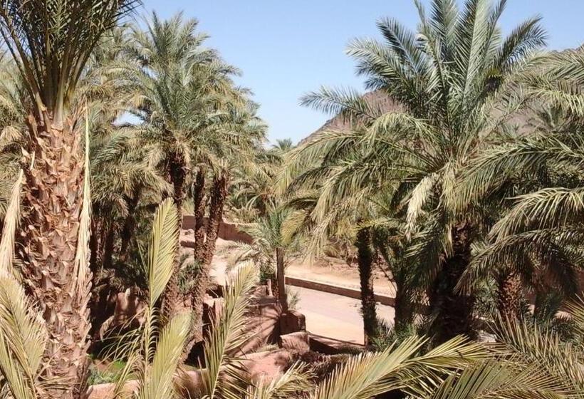 مبيت وإفطار Dar Nakhla   Zagora Guest House