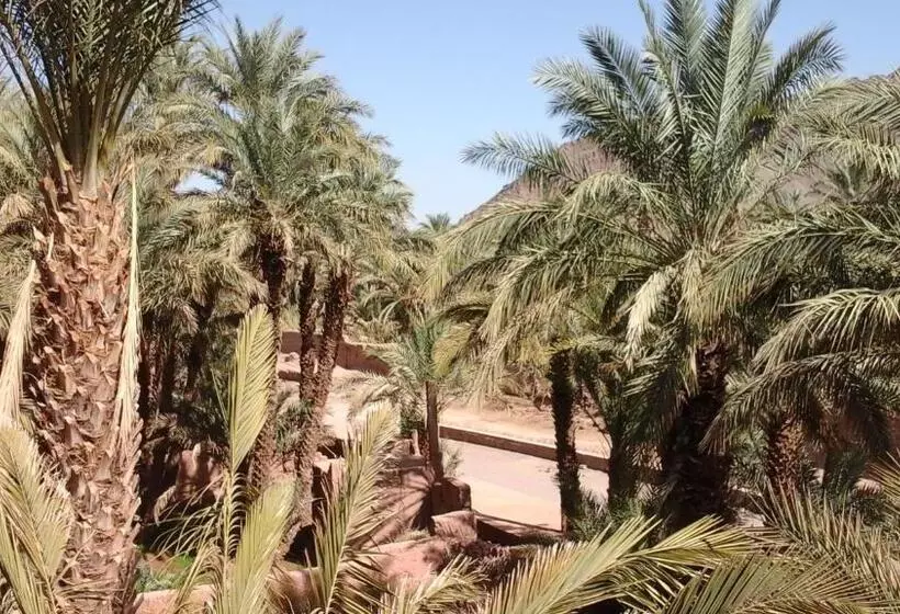 تختخواب و صبحانه Dar Nakhla   Zagora Guest House