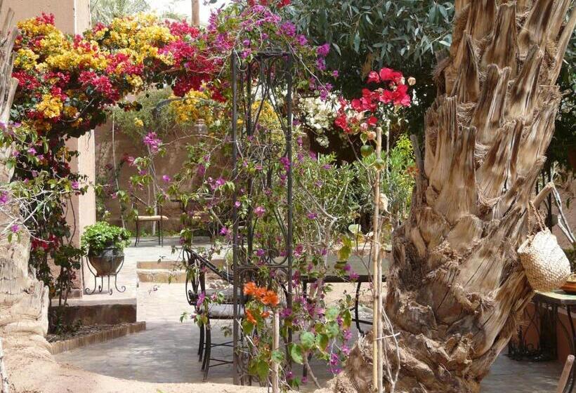 مبيت وإفطار Dar Nakhla   Zagora Guest House