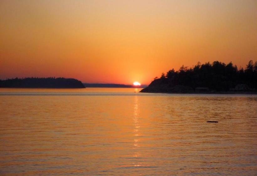 Pensionat Blitz Beach House Oceanside Suite