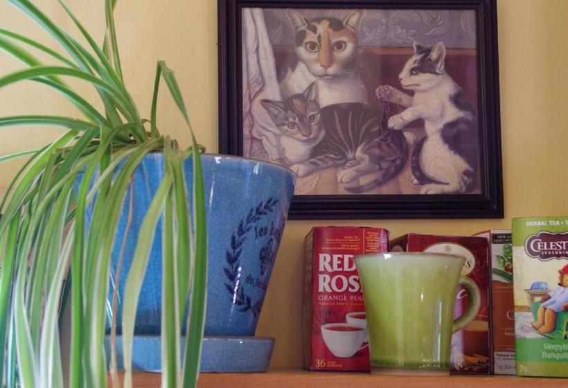 Pensionat Blitz Beach House Oceanside Suite