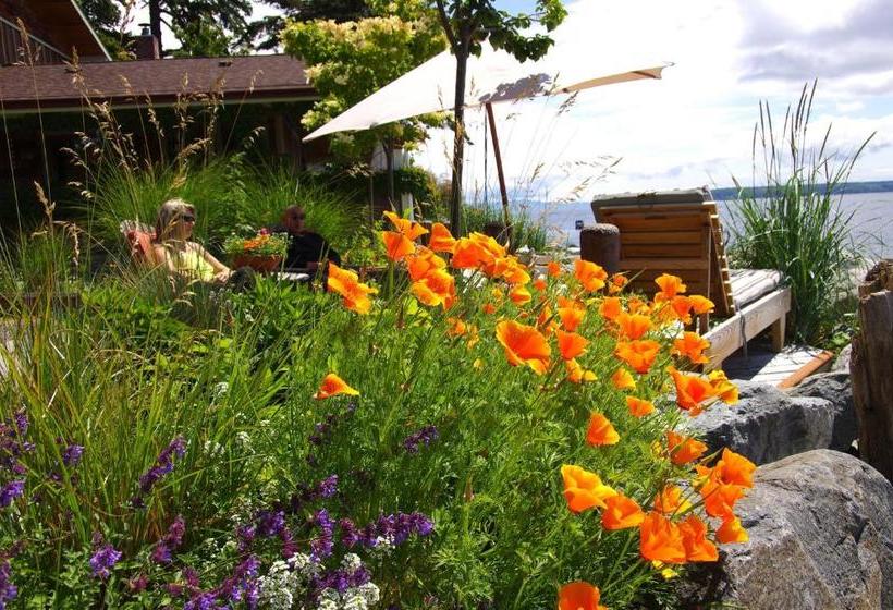 Pensionat Blitz Beach House Oceanside Suite