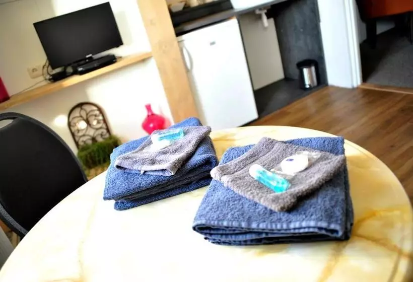 ペンション Herberg De Zwaan Hedel