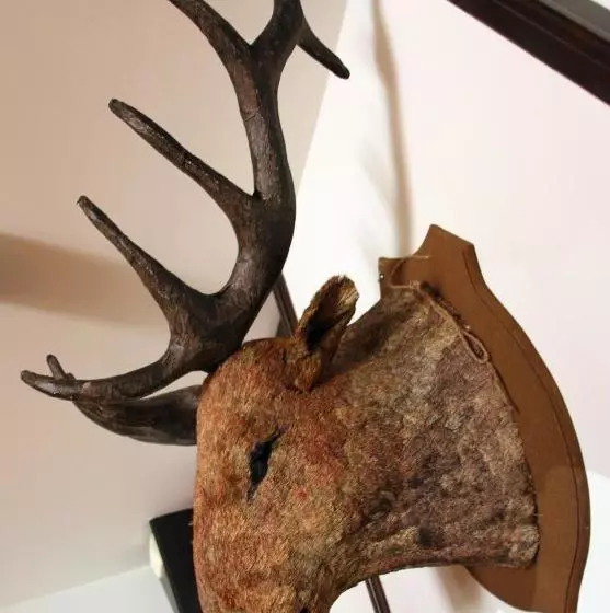 ペンション Herberg De Zwaan Hedel