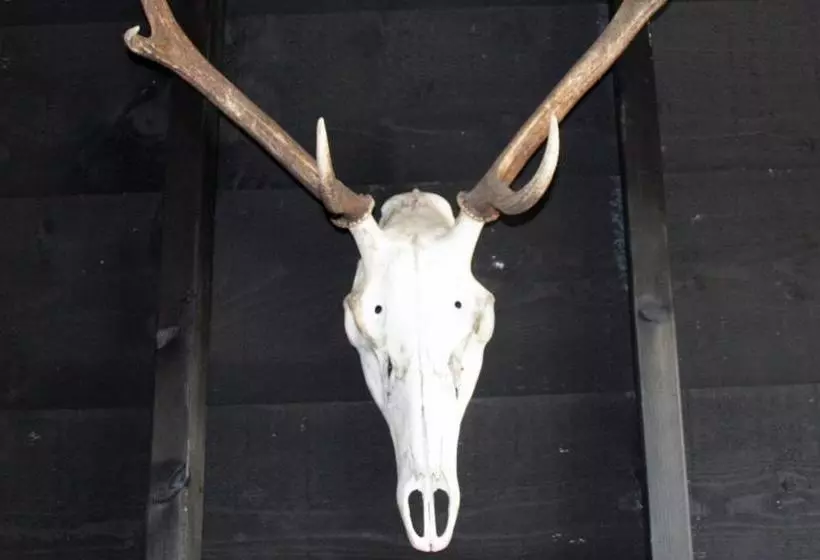 ペンション Herberg De Zwaan Hedel