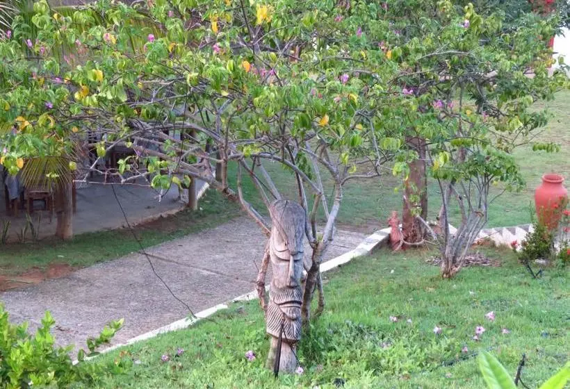ペンション Pousada Trilha Do Velho Chico