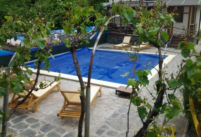 פנסיון Villa Drecheva