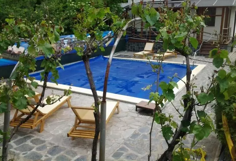 ペンション Villa Drecheva