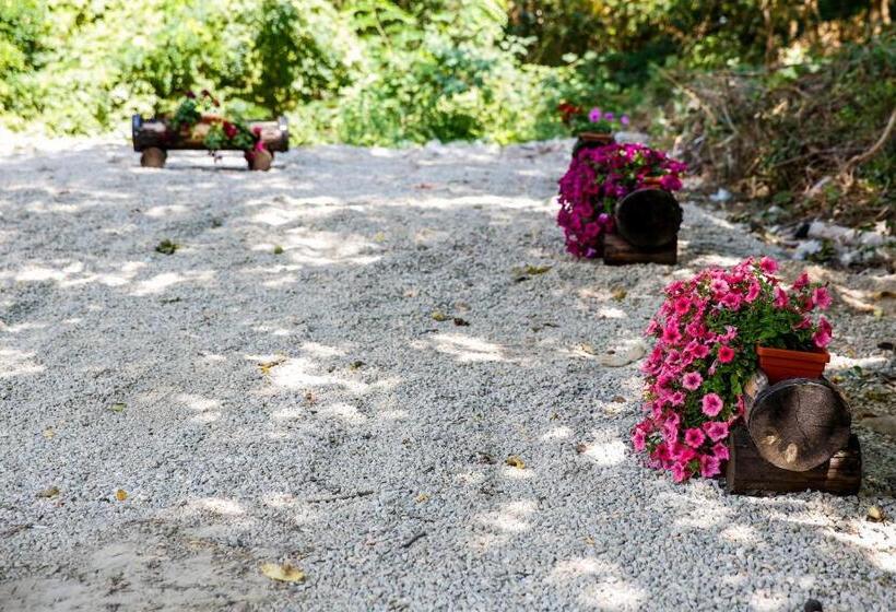 פנסיון Villa Drecheva