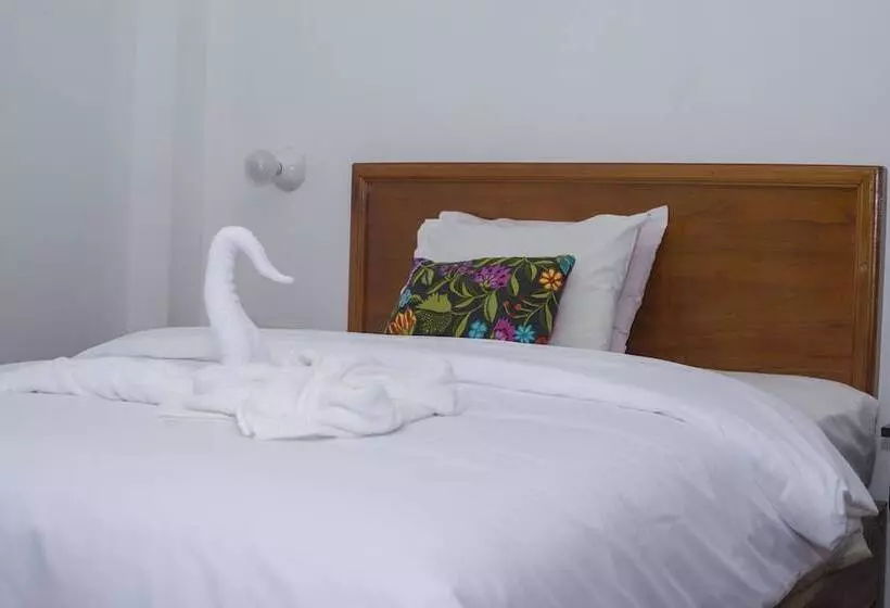 هاستل The Tayta Hostal