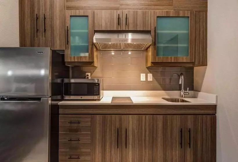ホテル Executive Residency By Best Western Corpus Christi