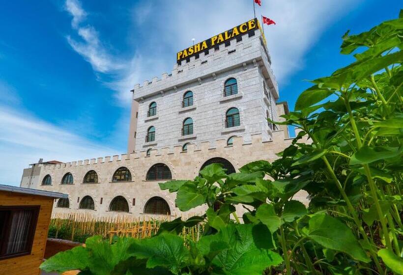 ホテル Pasha Palace