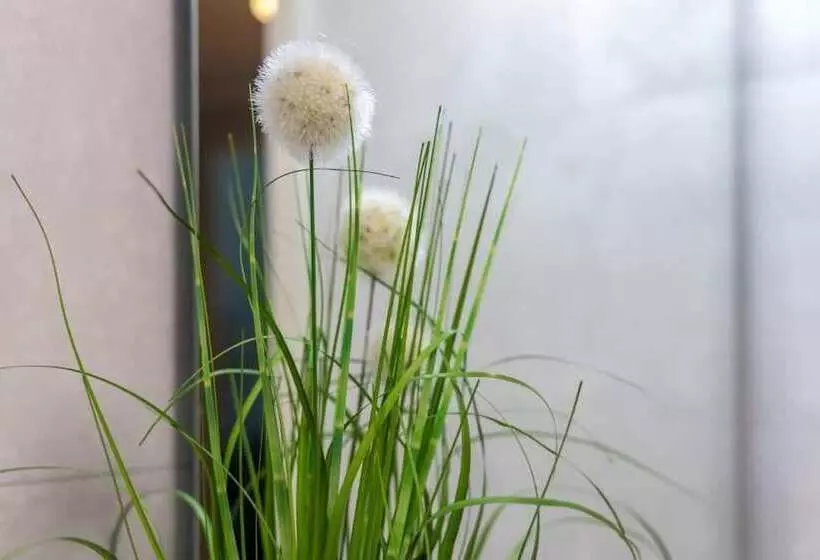 Hotelli Trip Inn Residence City Center