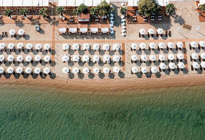 Wellness Santa Hotel   Adults Plus12