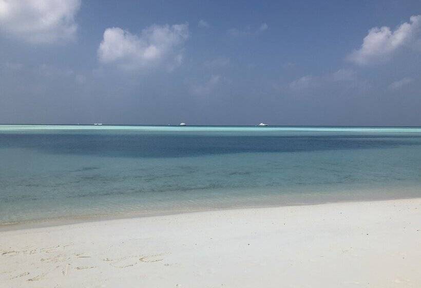 تختخواب و صبحانه Coral Cove Maldives