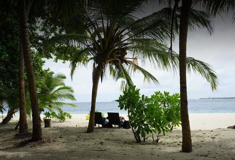 تختخواب و صبحانه Coral Cove Maldives