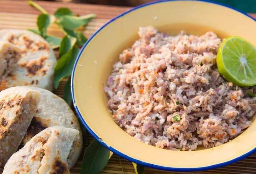 تختخواب و صبحانه Coral Cove Maldives