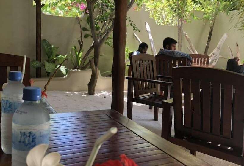 تختخواب و صبحانه Coral Cove Maldives