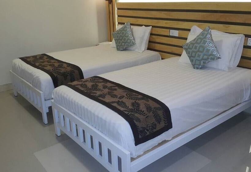 تختخواب و صبحانه Coral Cove Maldives