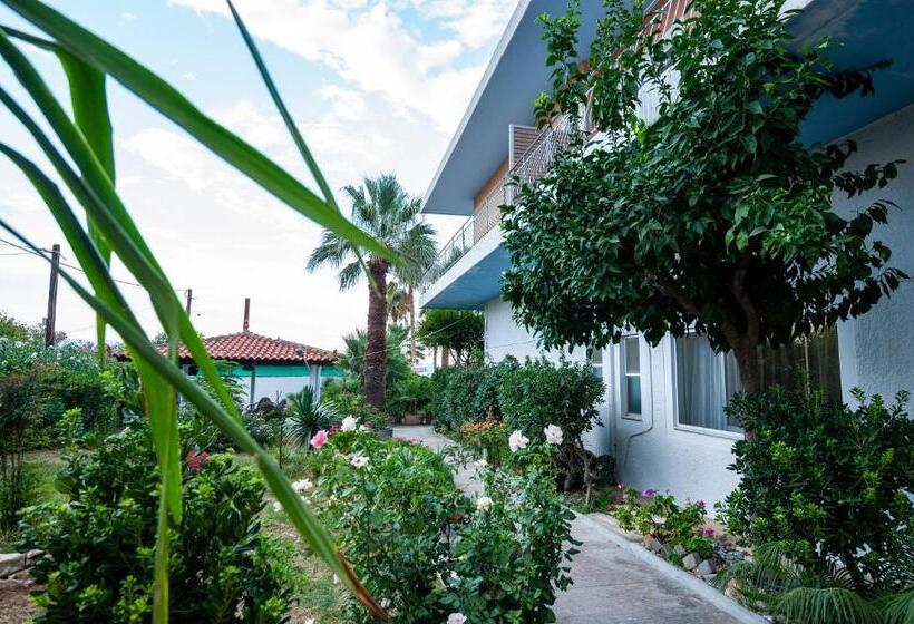 Отель Agamemnon Beach